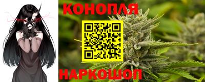 эйфоретик Аргун