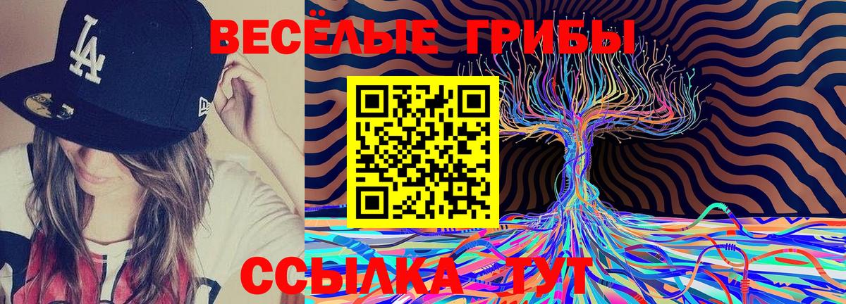 что такое   Симферополь  Псилоцибиновые грибы MAGIC MUSHROOMS  Галлюциногенные грибы Cubensis 