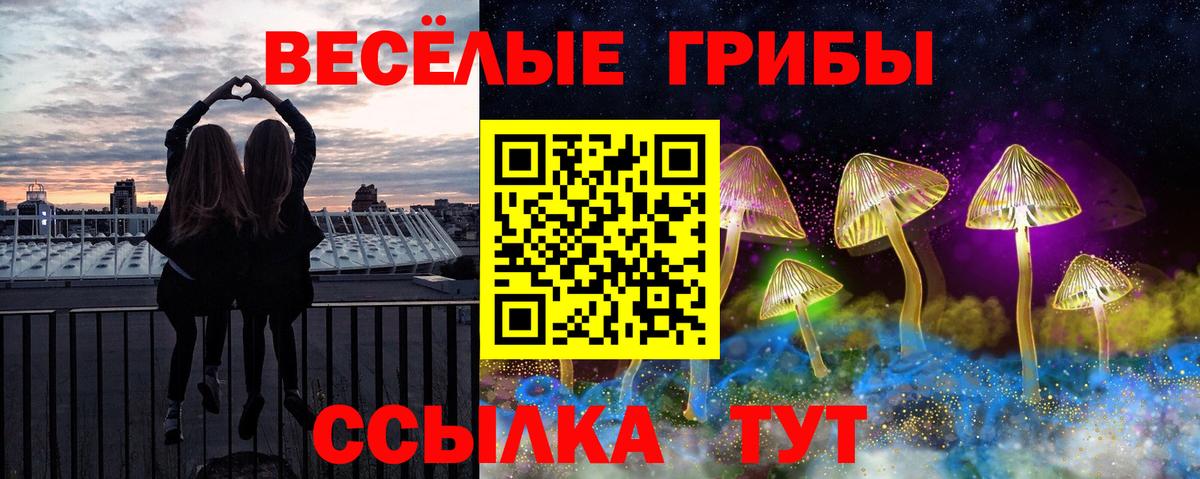 Псилоцибиновые грибы Cubensis Симферополь