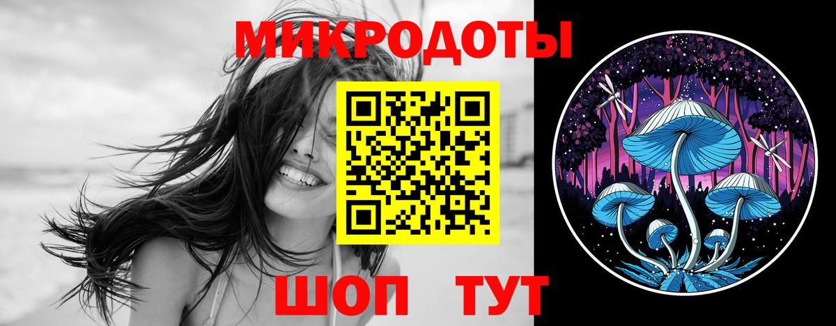 Симферополь  Галлюциногенные грибы Psilocybe  Вход с VPN 